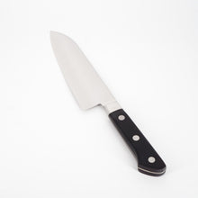 Lade das Bild in den Galerie-Viewer, Fujitora (Tojiro) DP VG10 Santoku 170mm
