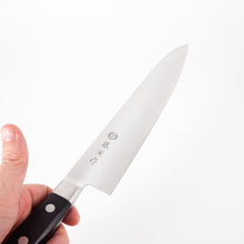 Lade das Bild in den Galerie-Viewer, Fujitora (Tojiro) DP VG10 Gyuto 210mm