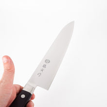 Lade das Bild in den Galerie-Viewer, Fujitora (Tojiro) DP VG10 Gyuto 240mm